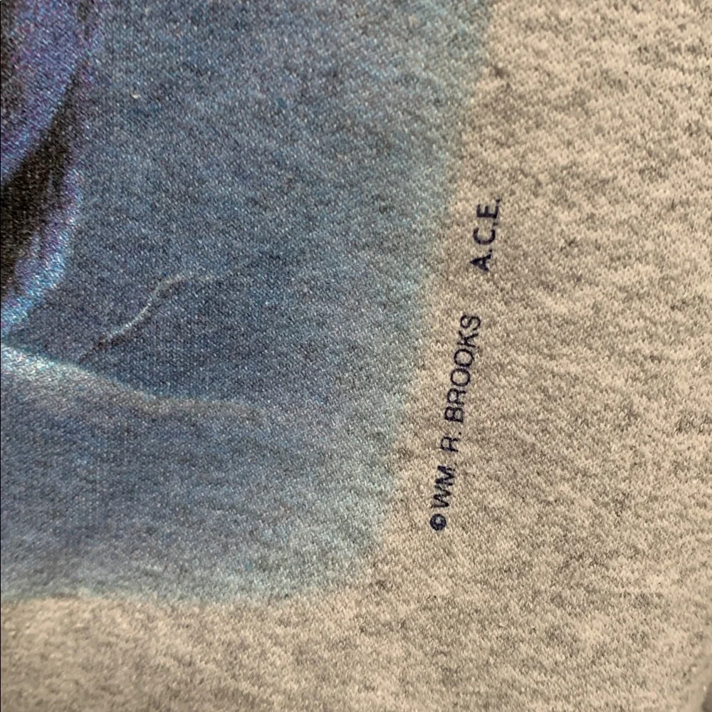 Vintage Hanes Alaska Wolves Graphic Gray Sweatshirt - Picture 3 of 7